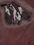 Spiritraven.jpg image by Faith_Diffenderfer